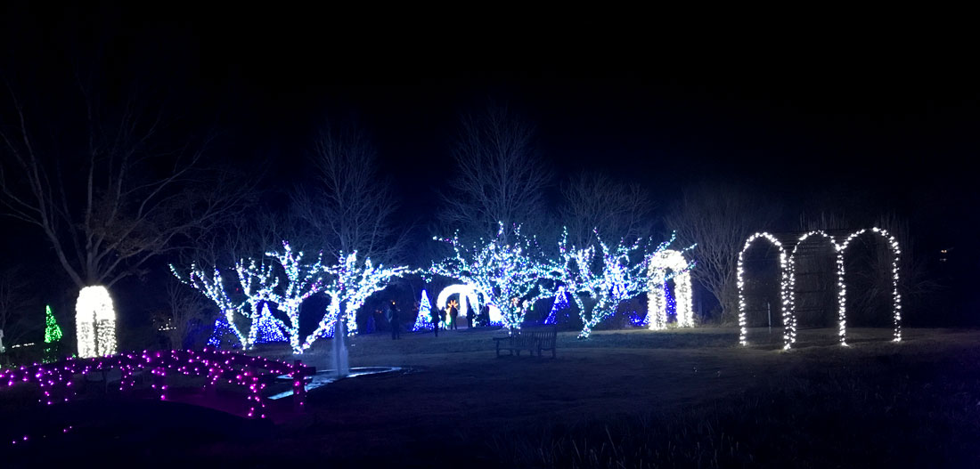 Christmas lights at Daniel Stowe Botanical Gardens